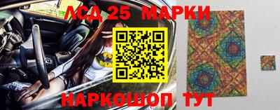 крисы Кулебаки