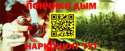 крисы Кулебаки