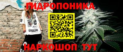 a pvp Кунгур