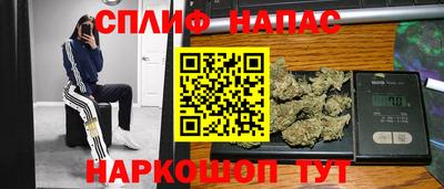 крисы Кулебаки