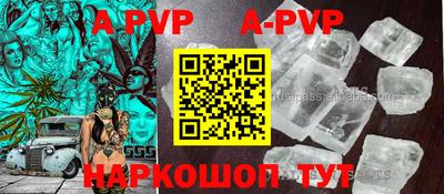 крисы Кулебаки